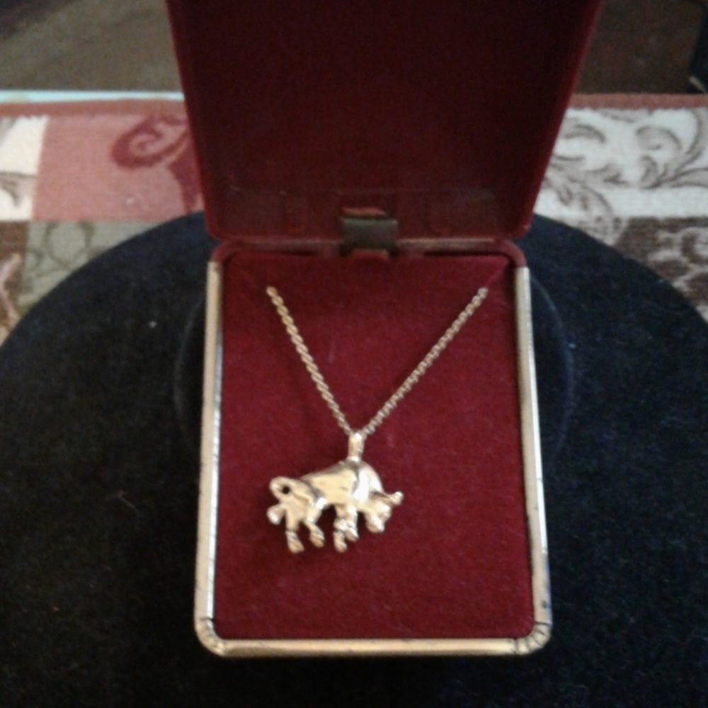 Ladies  Horoscope(Taurus) necklace(NWOT)